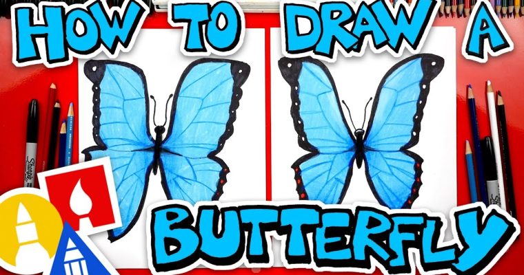 איך מציירים פרפר שלב אחר שלב 🦋